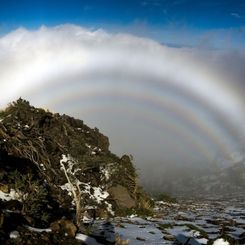 A Hall of Mountain Fogbows