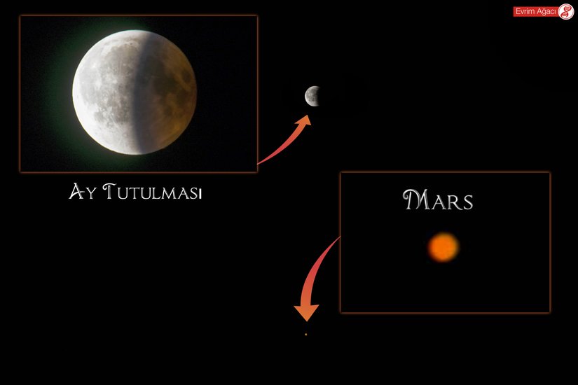 Fotoğrafladıktan sonra tek karede birleştirdiğimiz iki gözlem.