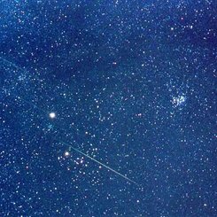 A Leonids Star Field