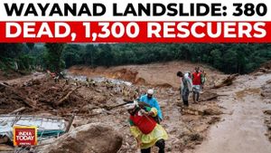 Kerala Chief Minister Rejects Centre's Claims Over Landslide Relief Delay