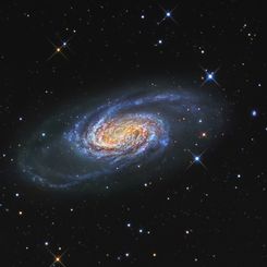 Bright Galaxy NGC 2903