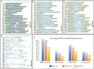 Refined SNP Panel Revolutionizes Peanut Genomic Analysis