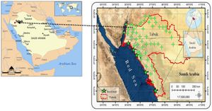 Ancient Watercourses Discovered Beneath Saudi Deserts