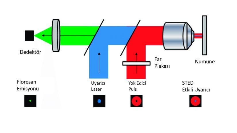 STED Mikroskobu İlkesi
