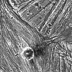 APOD's Archive of Galileo at Ganymede