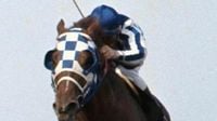 Legendary jockey who won the Triple Crown with Secretariat dead