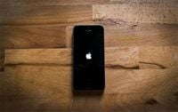 Apple’s Photos App Gains Four Subtle Features in iOS 18.4