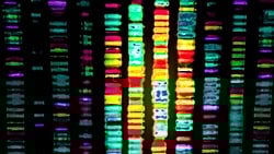 Genomu Dizilenen Tür Sayısı Katlanarak Artıyor!