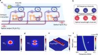 Scalable photonic-phonoinc integrated circuitry for reconfigurable signal processing - Nature Communications