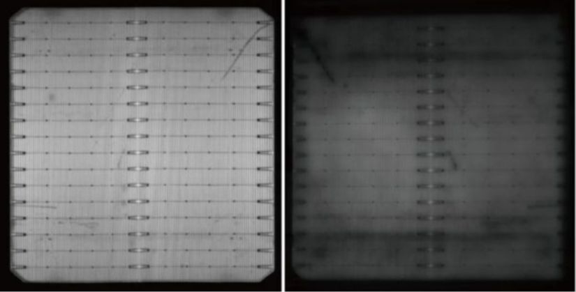 1. As illustrated in comparative imagery, the square-spot (area PL) method distinctly identifies dark cells that linear PL methods might miss.