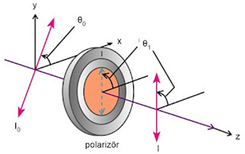 Işığın polarizasyonu (Malus yasası).