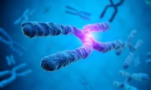 Study Reveals DNA Repair Proteins Ineffective Against Repeat Expansion