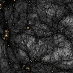 Dark Matter in a Simulated Universe