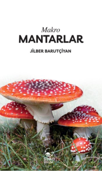 Makro Mantarlar