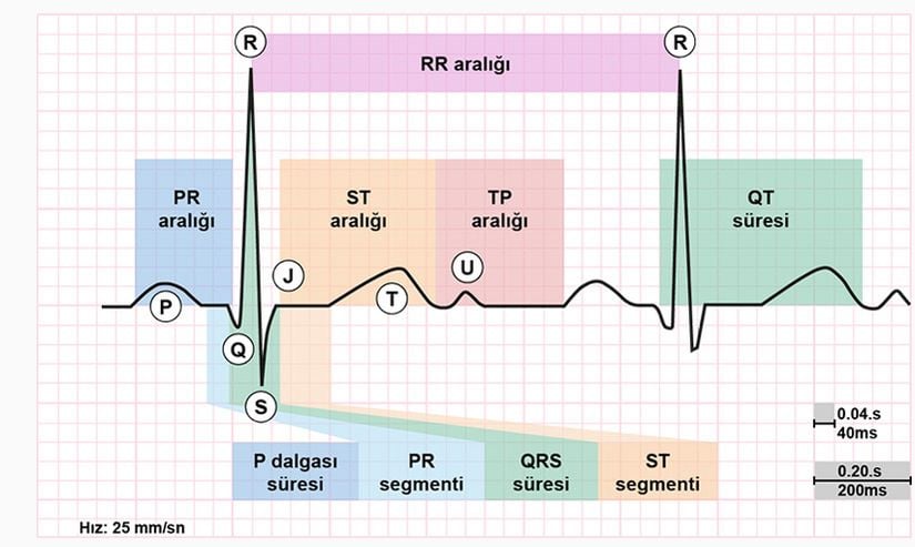 Elektrokardiyogramda dalga aralıkları