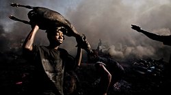 Ed Kashi: Hastalıkların, Sorunların ve Durumların Fotoğrafçısı