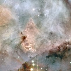 Massive Stars Resolved in the Carina Nebula