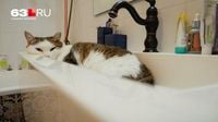 В Самаре отключат горячую воду на 2 недели на 61 улице — ищите свой адрес в списке