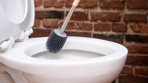 Silicone Toilet Brushes Transform Cleaning Routine