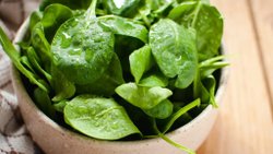 Ispanağın (Spinacia oleracea) C Vitamini (L-askorbik asit) İçeriğine Pişirme Sıcaklığının Etkisi: Bir Deney