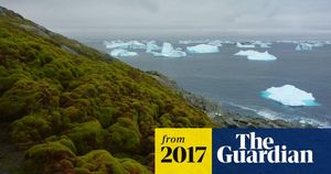 Rapid Greening Of Antarctica Sparks Environmental Concerns