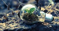 Dia da Terra: reflexões e ações para um Mundo mais sustentável