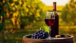 Bilim İnsanları 60 Milyon Yıllık Üzüm Fosilleri Buldu: Şarap İçenler Dinozorlara Teşekkür Edebilir.