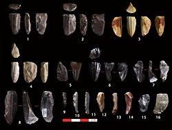 Antik Aletler Tibet Platosunda Tarihi Yeniden Şekillendiriyor!