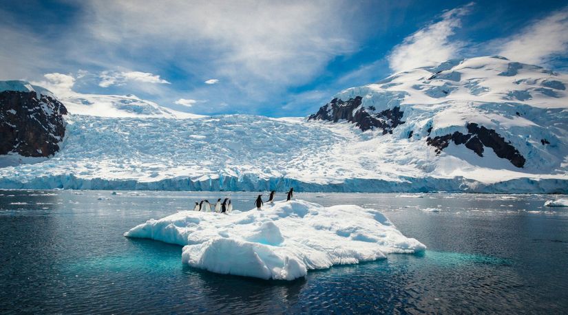 Antarktika faunasının önemli parçası olan penguenlerin gün geçtikçe hızla erimekte olan buzul parçası üzerindeki hallerini yansıtan bir fotoğraf karesi.