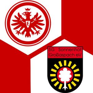 Eintracht Frankfurt Falls To Großaspach In Friendly Match