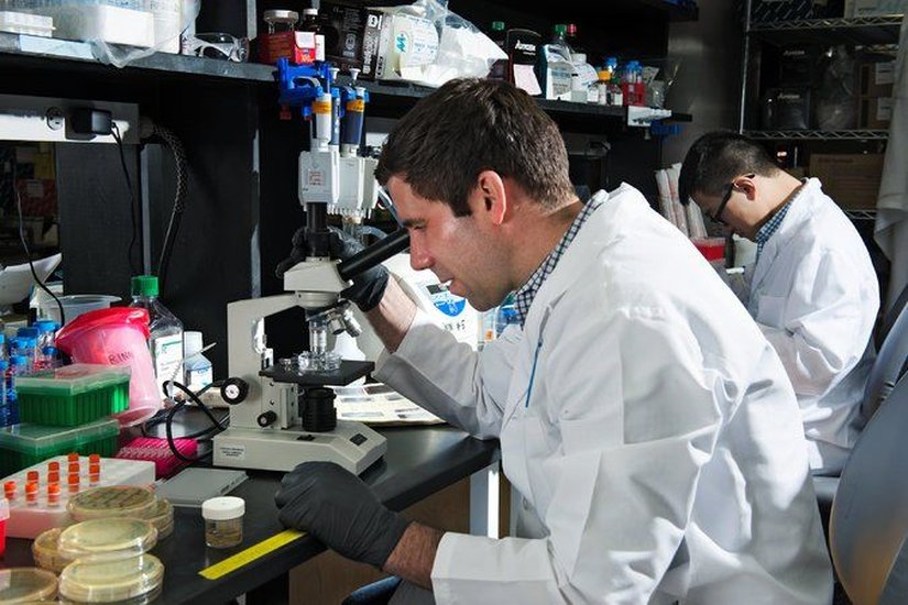 John Rinn, Harvard'daki laboratuarında.