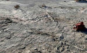 Ancient Sled Traces Discovered In New Mexico