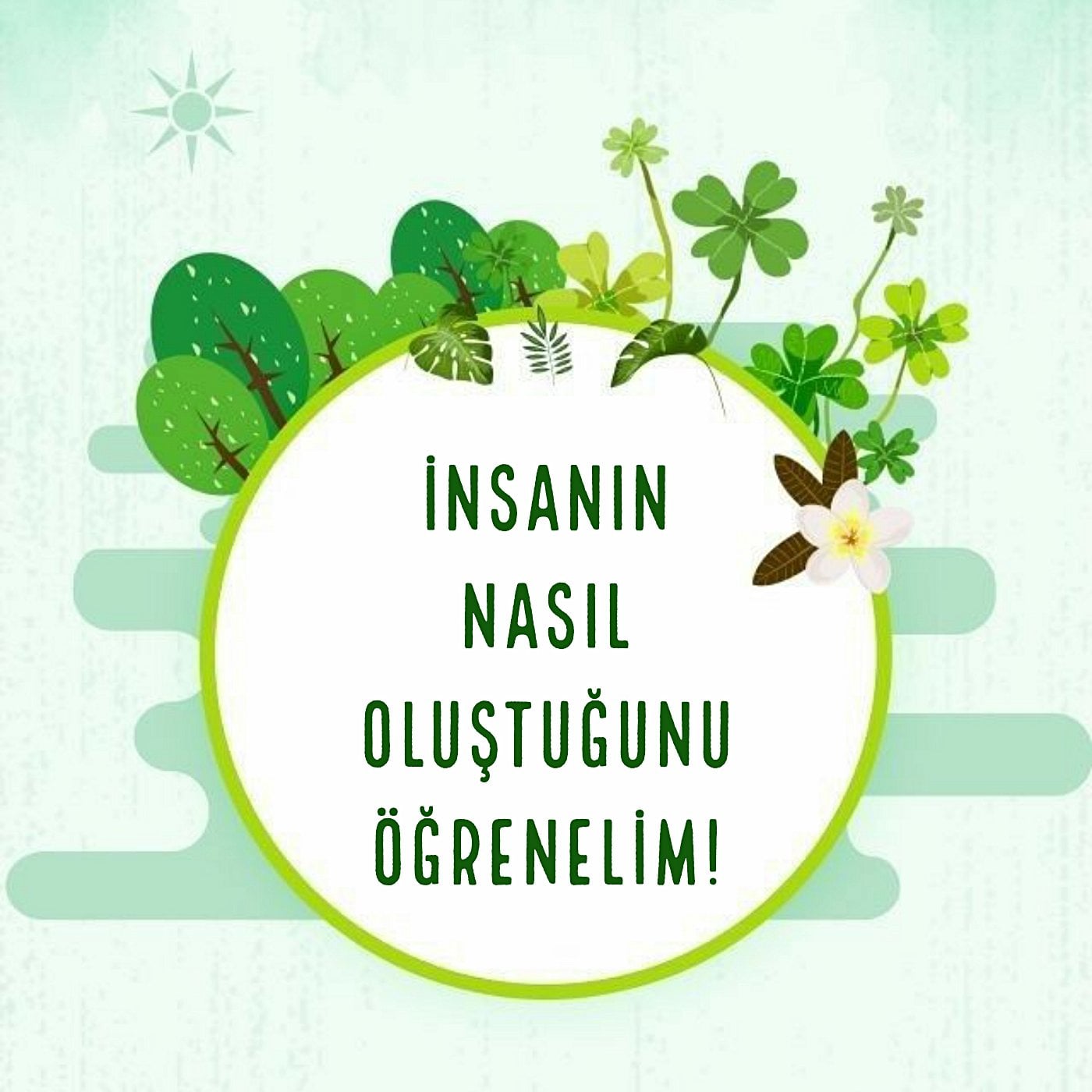 İnsanın Nasıl Oluştuğunu Öğrenelim! (3. Kısım)