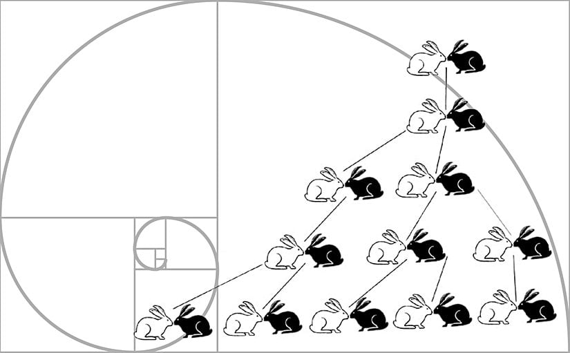 Fibonacci Tavşan Nüfusu Problemi