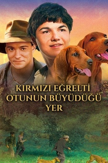 Kırmızı Eğrelti Otunun Büyüdüğü Yer