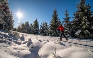 Discover Ontario's Top Winter Recreation Spots