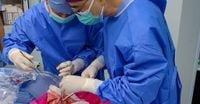Scientists Perform First Pig-to-Human Lung Transplant