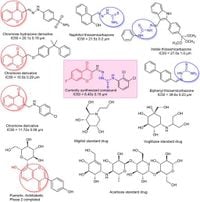 Synthesis, in vitro, and in silico studies of 7-fluorochromone based thiosemicarbazones as α-glucosidase inhibitors - Scientific Reports