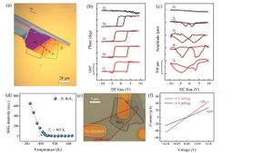 Breakthrough Achieved: Room Temperature Ferroelectricity Found In Graphene