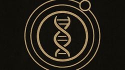 Pan-Evrimsel Teori (Pet): Evreni Süreç, Birlik Ve Bilinç Açısından Yeniden Yorumlamak