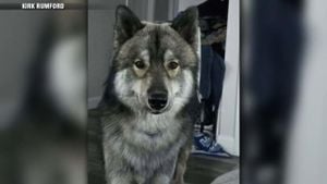 Officer's Mistake Leads To Dog's Tragic Death