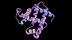 Karbon Temelli Yaşam: Farklı Bir Gezegende Biyokimya Nasıl Evrimleşir?