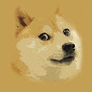 Doge Ama Tatlı Olan