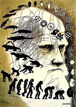 Zerbato’nun Darwin’i betimlerken sağ kaşının üst bölümüne “mi fi (Latince “benim oli”) ibaresine benzer kaligrafik bir şey yazdığını fark ettiniz mi?