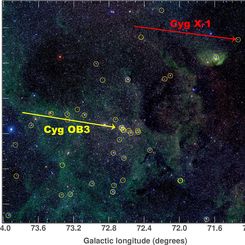 Cyg X-1: Can Black Holes Form in the Dark?