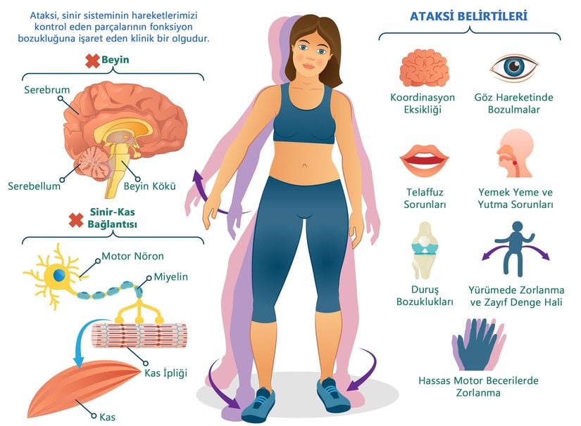 Ataksi ve Belirtileri (Semptomları)