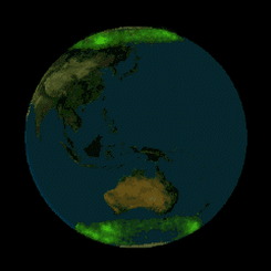Auroras Over Both Earth Poles