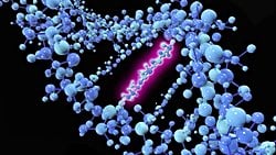 Kuantum Seğirme: Mutasyonlar, Sandığımız Kadar Rastgele Olmayabilir!