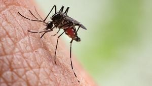 Texas Reports First Local Dengue Fever Case