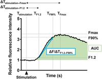 Jaw1 accelerates the reaction speed of the Ca2+ signals via ITPRs upon GPCR stimulation - Scientific Reports
